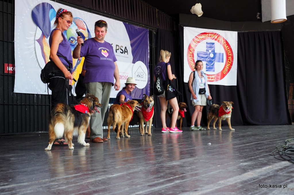25 czerwca w Parku Praskim spotkali się miłośnicy psów na pikniku z okazji Dnia Psa.